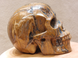 Tijgerijzer human skull