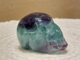 Fluoriet human skull