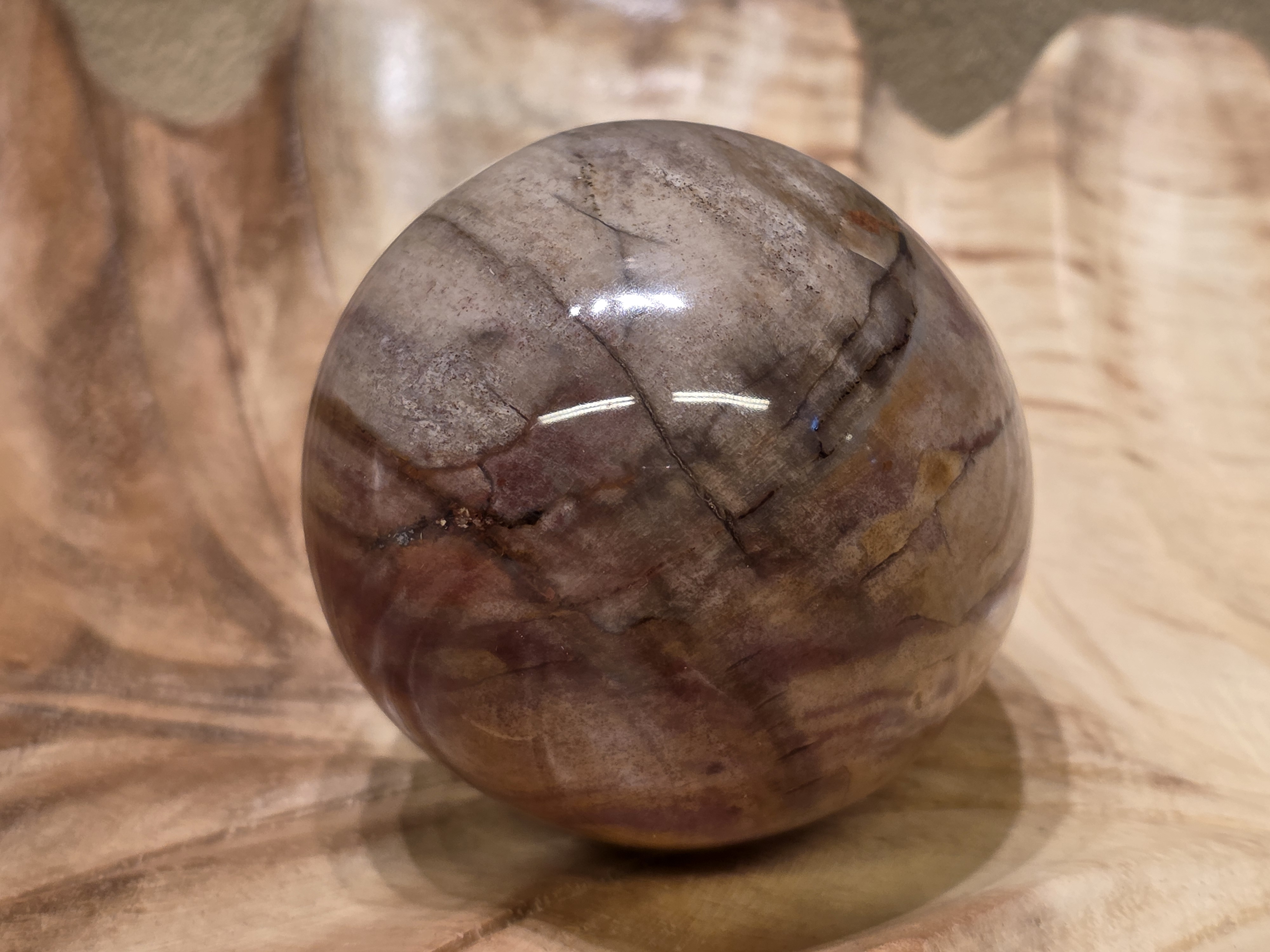 Versteend hout bol