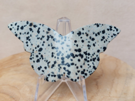 Dalmatiër jaspis vlinder