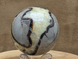 Septarie bol