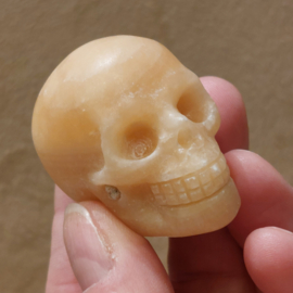 Oranje calciet human skull