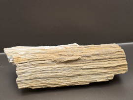 Versteend hout uit Indonesië