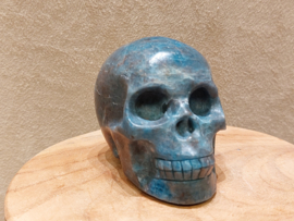 Apatiet human skull