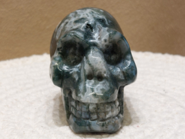 Mosagaat human skull