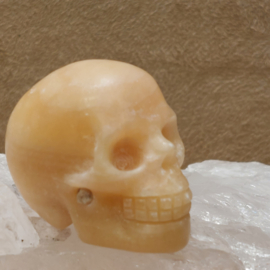 Oranje calciet human skull