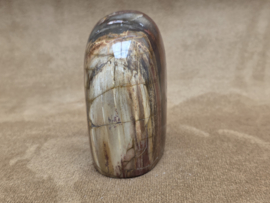 Versteend hout sculptuur