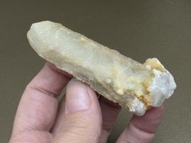 Feeënkwarts of heksenvinger uit Afrika