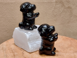 Zwarte obsidiaan hond