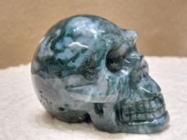 Mosagaat human skull