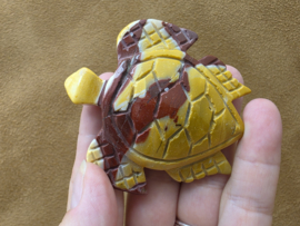 Mookaiet schildpad