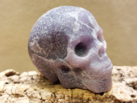 Lepidoliet human skull