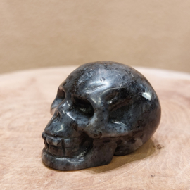 Larvikiet human skull