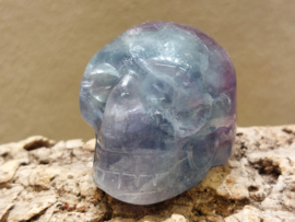 Fluoriet human skull