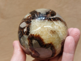 Septarie bol