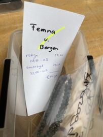 gekochte artikelen van Fenna van Bergen