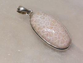 Fossiel koraal hanger in zilver