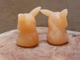 Oranje calciet pikachu