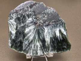 Serafiniet plak/schijf