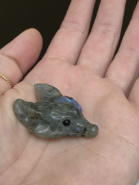 Labradoriet wolf hanger doorboord