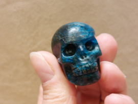 Apatiet human skull