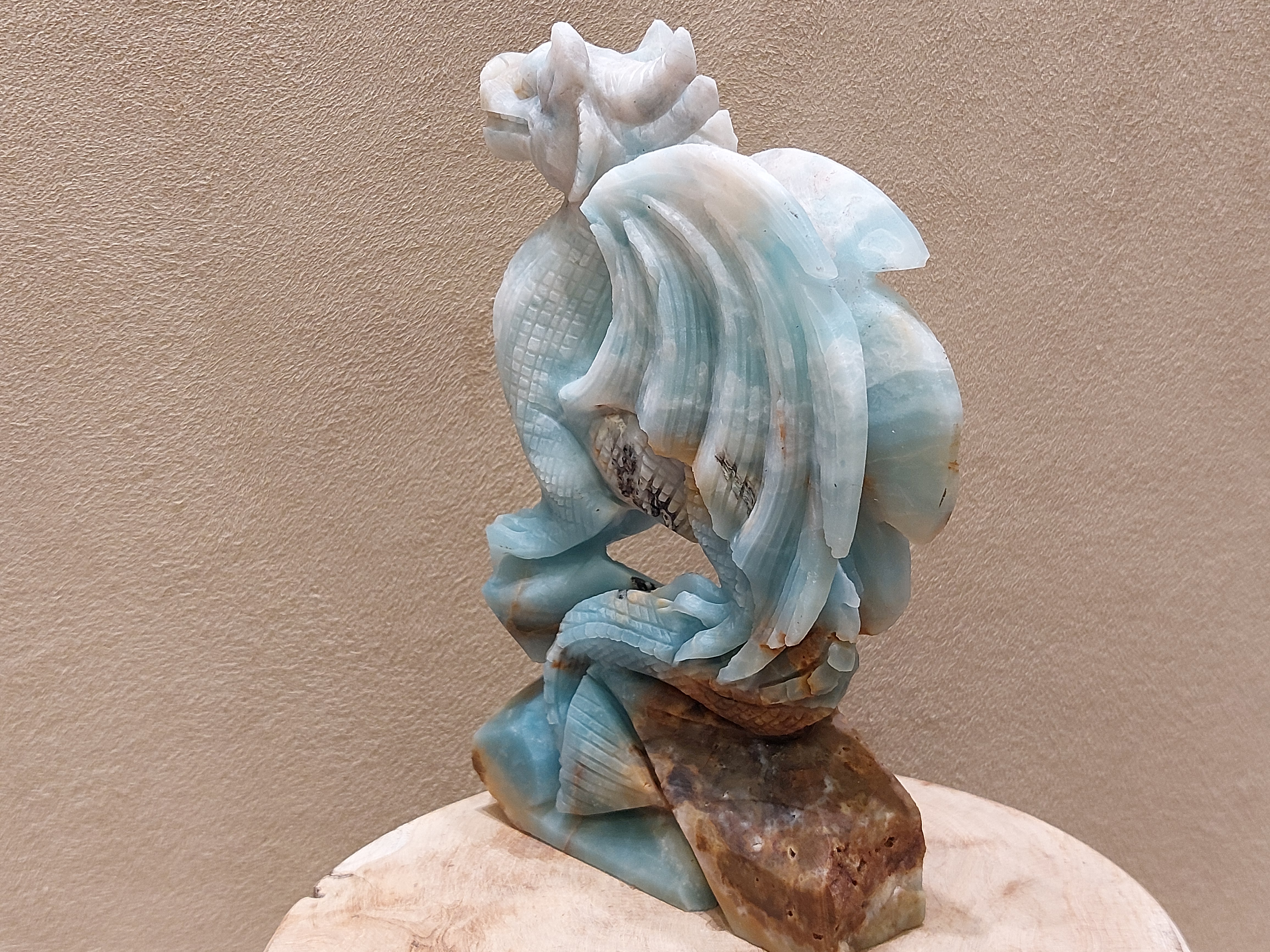 Blue carribean calciet draak full body