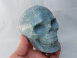 Amazoniet human skull