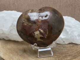 Versteend hout hart