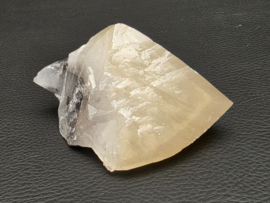 Mariposa calciet uit Mexico