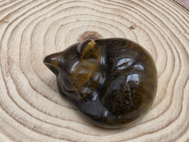 Tijgeroog slapende kat