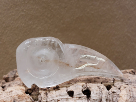 Bergkristal ravenskull