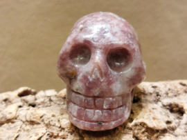 Lepidoliet human skull