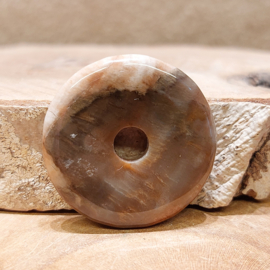 Versteend hout donut