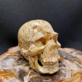 Crazy lace agaat human skull