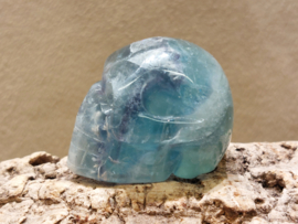 Fluoriet human skull