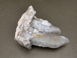 Feeënkwarts of heksenvinger uit Afrika