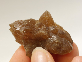 Citrien uit Marokko cluster