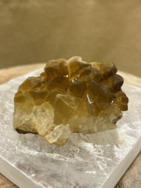 Golden healer cluster uit Zambia