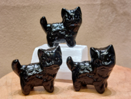 Zwarte obsidiaan kat