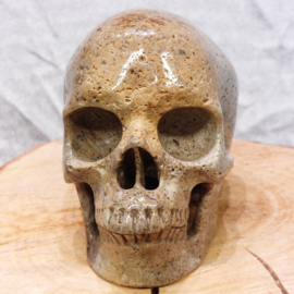 Oceaan jaspis human skull