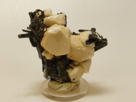 Aegirien cluster