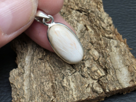 Scolesiet hanger in zilver