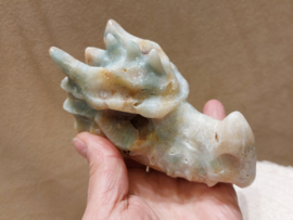 Blue carribean calciet draak