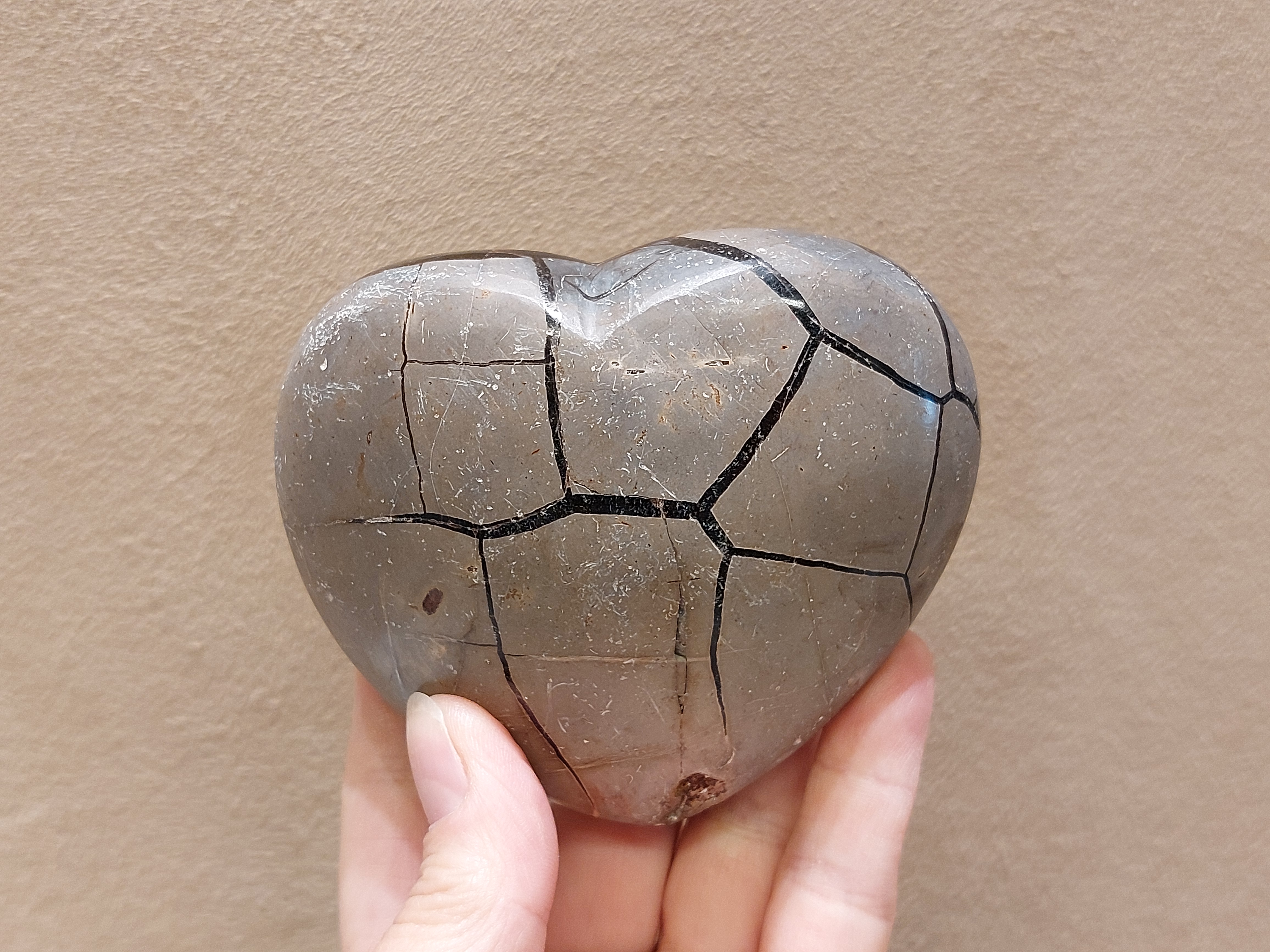 Wilde septarie sculptuur/hart
