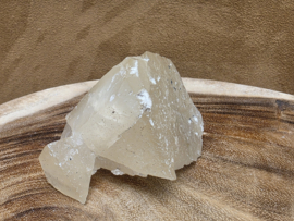 Mariposa calciet uit Mexico