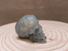 Prehniet human skull
