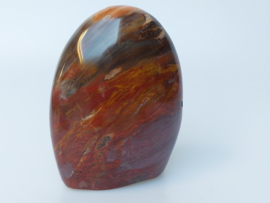 Versteend hout sculptuur