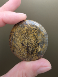 Bronziet platte steen