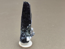 Aegirien cluster Malawi