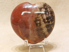 Versteend hout hart